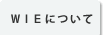 ＷＩＥについて